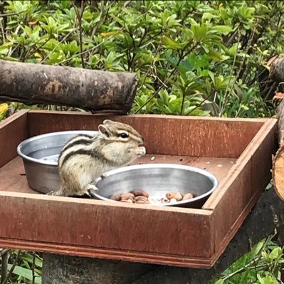 ムンちゃんとジフを愛してやまないENNVE