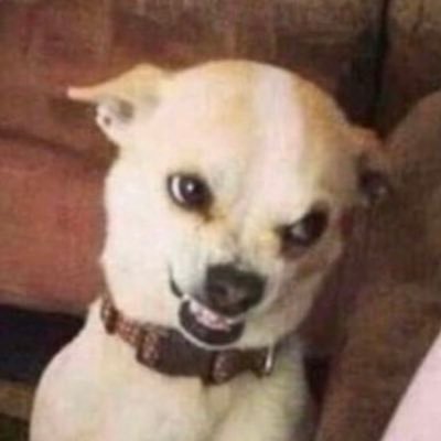 tmn1312's profile picture. 