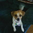 Kathy Ketcham - @kketcham79 - Twitter