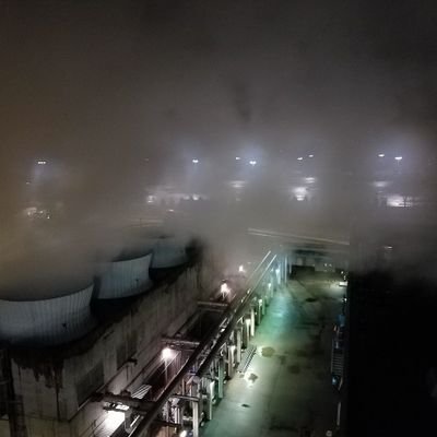 elding201's profile picture. .