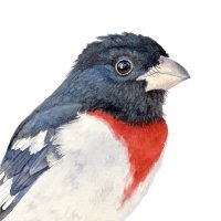 Coco (@marvincori) 's Twitter Profile Photo Coco (@marvincori) 's Twitter Profile Photo