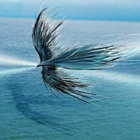 Luis Vera (@ahoraempoderate) 's Twitter Profile