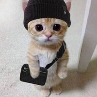 Mezeka (@sepakool) 's Twitter Profile