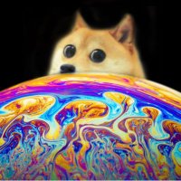 SofaKingÐoge ii(@sofakingdoge2nd) 's Twitter Profileg