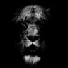 Sbusiso_mab's profile picture. ♎🇿🇦...antisocial please pardon my attempts....