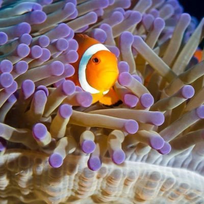 💙 Ocean & Mountain Lover, Succulent enthusiast. Warriors,Giants, 49er Fanatic “Often wrong seldom in doubt!” 🚫 DM’s,🚫Crypto… 💙