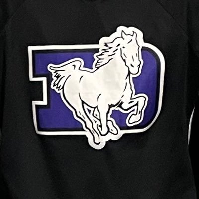 The official account of the St. Francis DeSales Stallions hockey team. Columbus, Ohio.