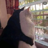 ريّا (@_1euu) 's Twitter Profile