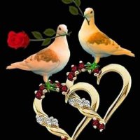 Rozi Mohammad (@rozimoh24339112) 's Twitter Profile