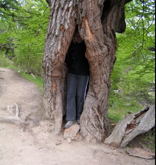 shiddinga's profile picture. digibeet