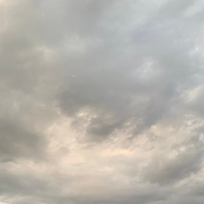 a_boy_is_no_one's profile picture. 星が、落ちる、夜に。霧で、角笛が、響く。