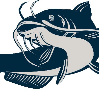 LurkerCatfish Profile Picture