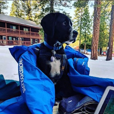 3rd party independent ski school operating in Tahoe & Colorado. Fast, easy, and convenient private ski and snowboard lessons. Book online starting at just $80.