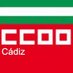 CCOO de Cádiz (@ccoocadiz) Twitter profile photo