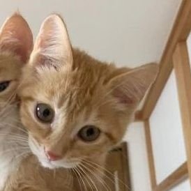 Bermu_2000's profile picture. El Wander y los redondos ⚪⚫