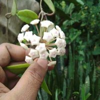 Roni (@klbasar5) 's Twitter Profile