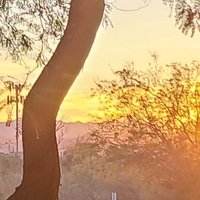 nobody cared (@olympusbicycle) 's Twitter Profile