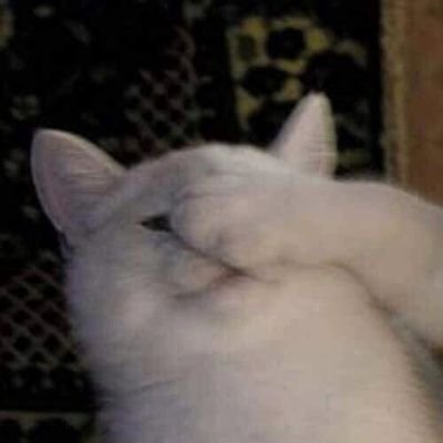 meio sumidaさんのプロフィール画像