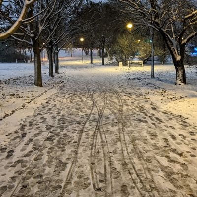 StepOfSnow's profile picture. Кроки на снігу