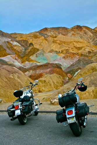 NEWCAMPFIRE's profile picture. 