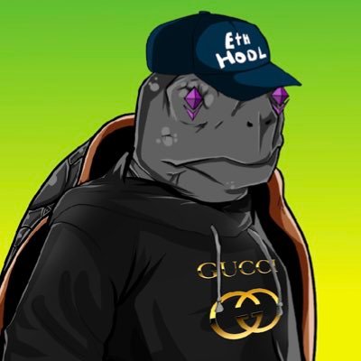 teachemturtles Profile Picture