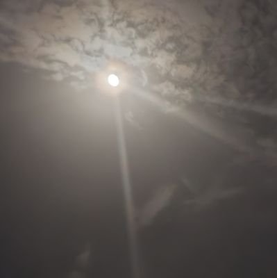 usamamukhtar411's profile picture. Dumba