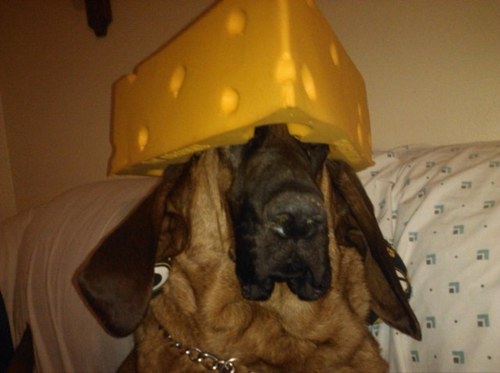 waco10's profile picture. 