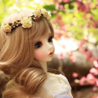 Elham (@eli04334356) 's Twitter Profile Photo Elham (@eli04334356) 's Twitter Profile Photo