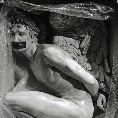 Ariansssze's profile picture. 