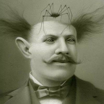 mcjjan's profile picture. The smarter you get, the less you speak.                           All photos are taken by myself, except RT.
 Amateur photographer.