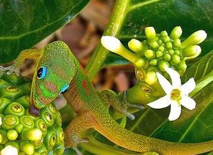 ekchan35's profile picture. 