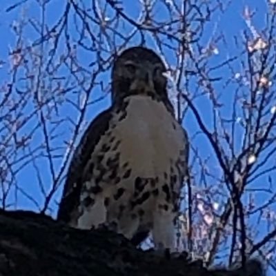 HulstAdam's profile picture. husband, father, teacher