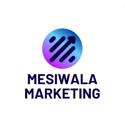 I help influencers and entrepreneurs with product/online course promotion via social media ads! | Facebook and Instagram Advertising Service |