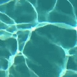 flower_thievery's profile picture. 