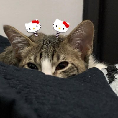 valrcxox's profile picture. 🎞