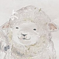 ょ🦛ょ🐑ょ(@3ty_kkkkk) 's Twitter Profile Photo