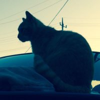 れとろ (@retro1227) 's Twitter Profile
