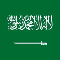 🇸🇦🇩🇿 انيس أبو صفيّة (@anisabusafiyya) 's Twitter Profile