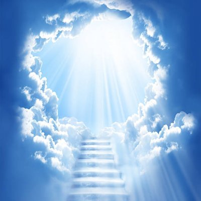 SAW_Blog1132's profile picture.