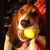 Nor-Cal Hilohaw (@hilohaw) Twitter profile photo Nor-Cal Hilohaw (@hilohaw) Twitter profile photo