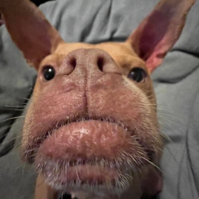 Cody665300162's profile picture. 