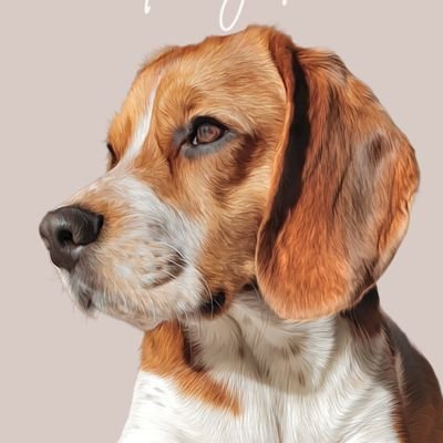 bagelbeagle1903's profile picture. Bagel the beagle. Pobably the 7486th of her name. Queen of all the socks and dish cloths. Chief squirrel watcher. Breaker of tv remotes. 🐶