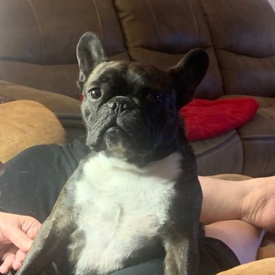 G00se46's profile picture. 