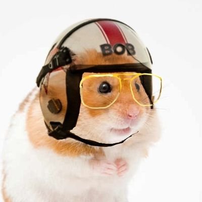 밥풀さんのプロフィール画像