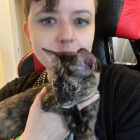 Gone to the butterfly (@zleeily) 's Twitter Profile