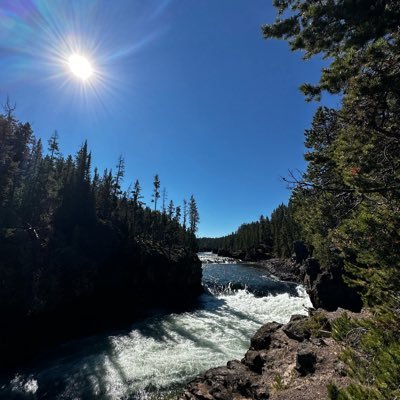 yiyezhiqiu_cb's profile picture. 