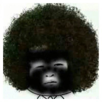 Ankang55132's profile picture. 