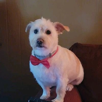 MandyTony5's profile picture. 