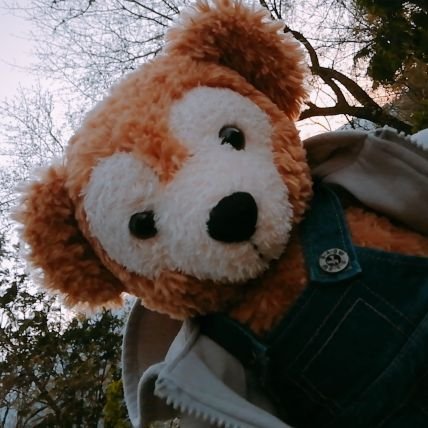 🧸くまの森のほのP☔🌖✝️さんのプロフィール画像
