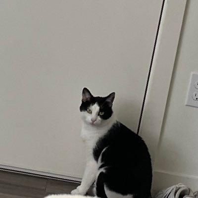 Juuuz18's profile picture. 